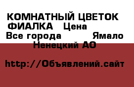 КОМНАТНЫЙ ЦВЕТОК -ФИАЛКА › Цена ­ 1 500 - Все города  »    . Ямало-Ненецкий АО